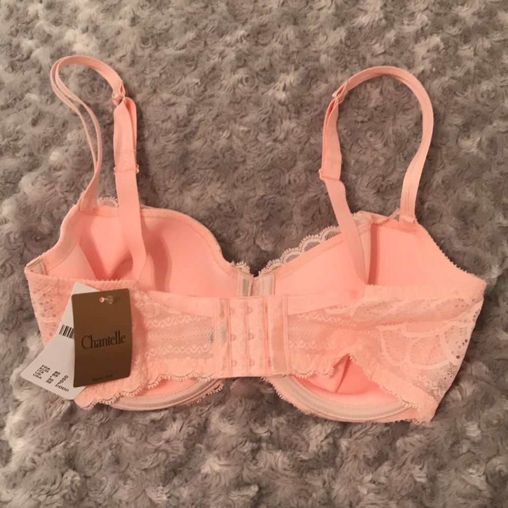 Chantelle Light Pink Merci Demi Underwire T-Shirt Bra 30DDDD NWT - Picture 3 of 14
